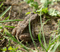 Another spectator at the trial