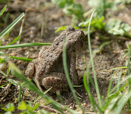 Another spectator at the trial