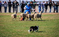 Fryeburg Fair 2026