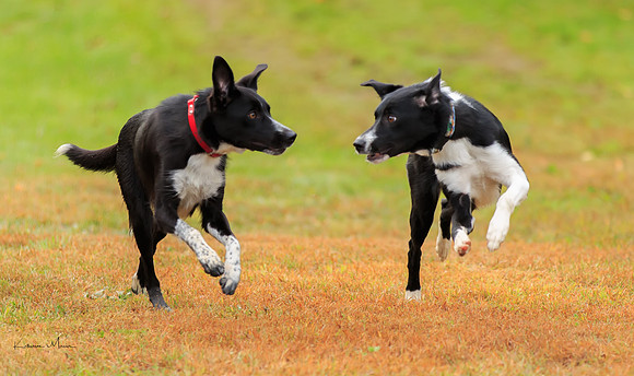 untitled-2