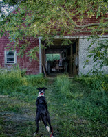 untitled-3