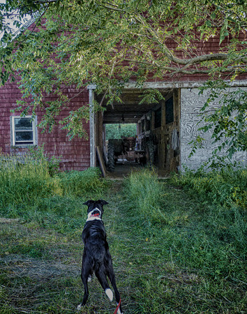 untitled-3