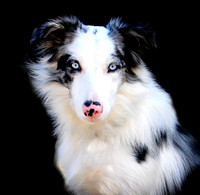 Dru - September 2006