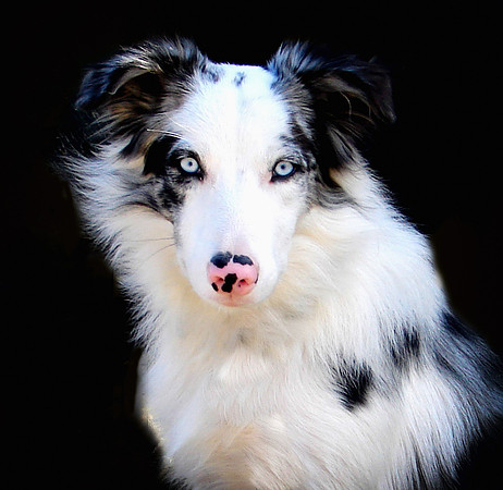 Dru - September 2006