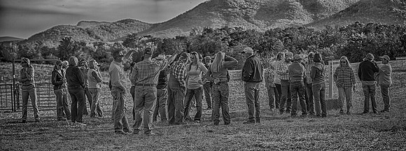 NuseryHandlersMtg_HDR